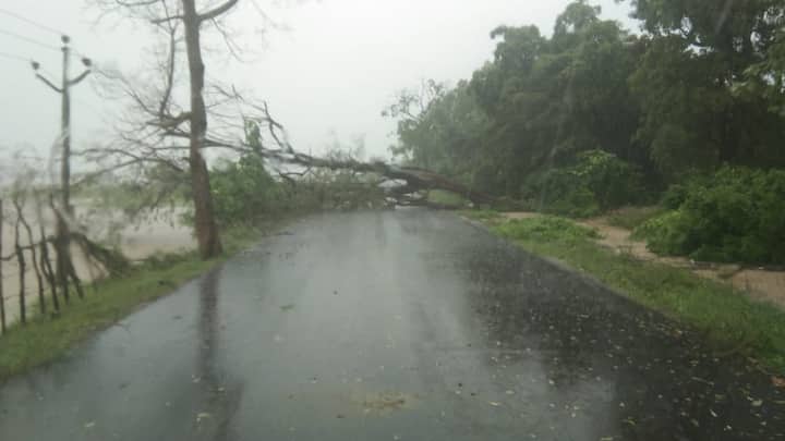 వర్షాల దాటికి రోడ్డుపై కూలిన చెట్టు