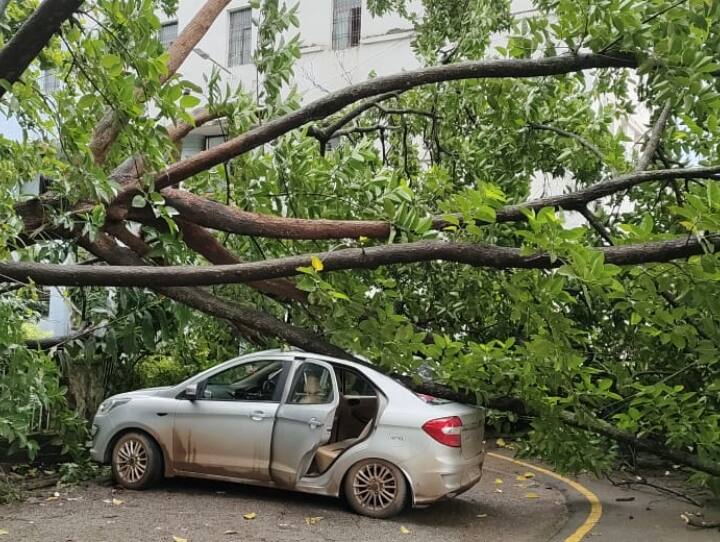 Bastar News: बस्तर में बारिश का कहर, अगले 24 घंटो के लिए जारी किया गया रेड अलर्ट Bastar Weather update Rain wreaks havoc red alert issued for next 24 hours Chhattisgarh ANN Bastar News: बस्तर में बारिश का कहर, अगले 24 घंटो के लिए जारी किया गया रेड अलर्ट