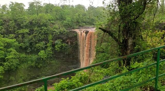 Chimer Falls in Songadh taluka became the center of attraction of the people Gujarat Rain: ગુજરાતના આ ધોધનો નઝારો જોઈ તમે વિદેશી ડેસ્ટિનેશન ભૂલી જશો