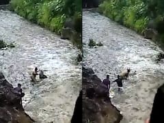Maharashtra Cops Save Man From Being Washed Away By Currents | WATCH