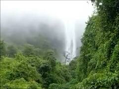 Sindhudurg : गर्द वनराई आणि दाट धुक्यातून वाट काढत 150 फुटांवरून फेसाळत कोसळणारा मांगेलीचा धबधबा प्रवाहित