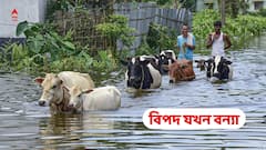 Floods in India: প্রতি বছর বন্যায় বিপুল ক্ষতি! কী করছে সরকার?