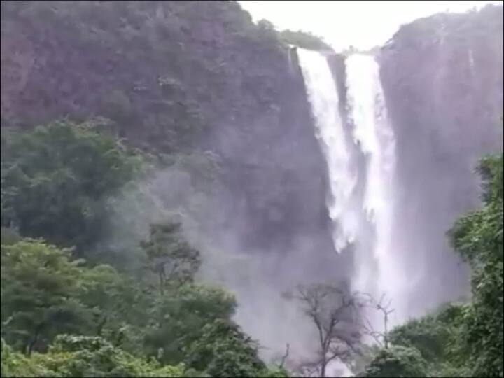 150 फुटांवरून कोसळणारा धबधब्याच्या मुळात जाण्यासाठी डोंगरात ट्रेकिंगचा आनंदही लुटता येतो.