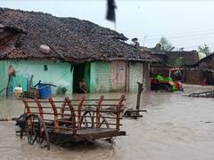 Wardha Rain : वर्धा जिल्ह्यात मुसळधार पाऊस, सोनोरा ढोक गावात शिरलं पुराचं पाणी, अनेक कुटुंब उघड्यावर