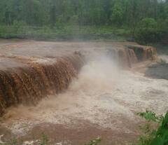ગુજરાતના આ જિલ્લાઓમાં ભારે વરસાદની આગાહી, હવામાન વિભાગે રેડ એલર્ટ જાહેર કર્યું