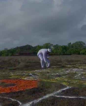 कातळ दगडावर साकारली 40 फुट विठ्ठलाची रांगोळी