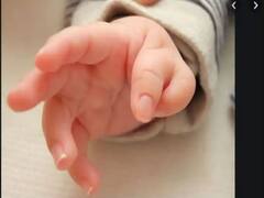 Samudrik Shastra : हाताला सहा बोटे असणारे लोक खूप भाग्यवान असतात