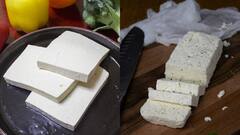 Tofu Vs Paneer: টোফু নাকি পনির, কোনটা বেশি স্বাস্থ্যকর?