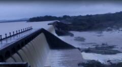 In Pics : తెలంగాణలో భారీ వర్షాలు, నిండుకుండల్లా ప్రాజెక్టులు