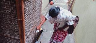 NMC News : सोमवारी शहरातील 4513 घरांचे सर्वेक्षण, डेंग्यू प्रतिबंधात्मक उपाययोजना