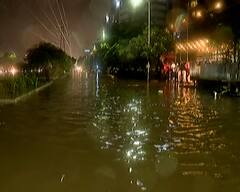 Rain Live Update: બોડેલીમાં સૌથી વધુ 22 ઇંચ વરસાદ, રાજ્યના 12 તાલુકાઓમાં 8 ઇંચથી વધુ વરસાદ