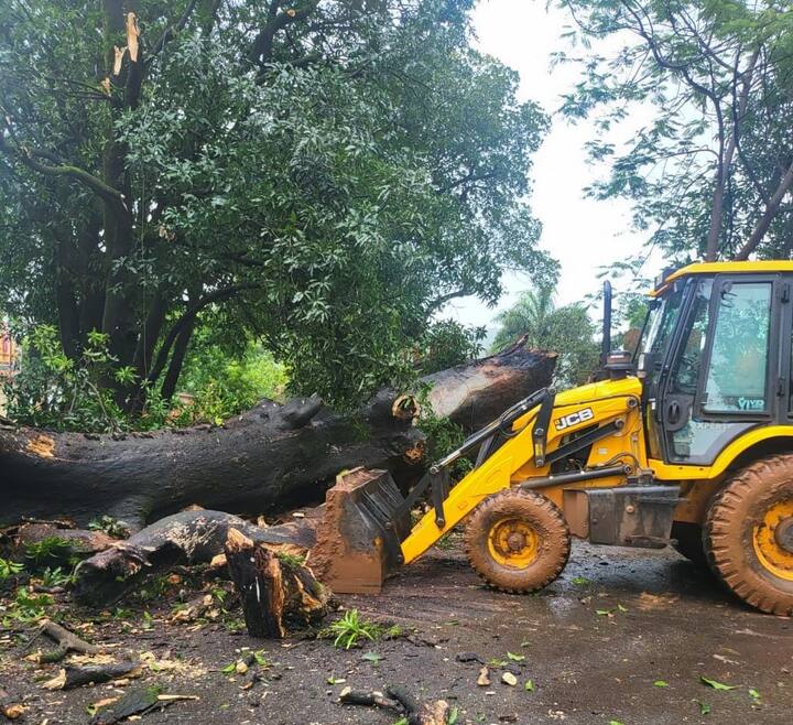सध्या राज्याच्या विविध ठिकाणी जोरदार पाऊस कोसळताना दिसत आहे. अनेक ठिकाणी नद्यांची पाणी चांगलीच वाढली आहे