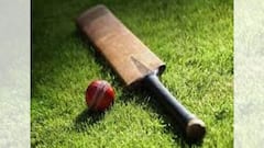 Fake IPL Set Up: গুজরাটে নকল আইপিএলের রঙ্গমঞ্চ সাজিয়ে প্রতারণা, পুলিশের জালে প্রতারকরা