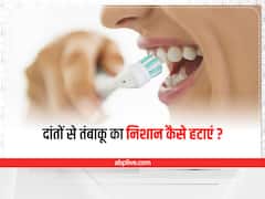 Tobacco Stains : तंबाकू और गुटखा दांतों को कर सकता है खराब, इन उपायों से करें साफ