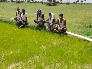 PM Kisan Samman Nidhi : ऑनलाईन केवायसीसाठी 31 जुलैपर्यंत मुदतवाढ