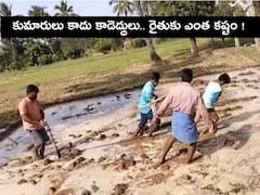 Viral News: కుమారులనే కాడెద్దులుగా మార్చి వ్యవసాయం, కంటతడి పెట్టిస్తున్న రైతు కష్టమిది