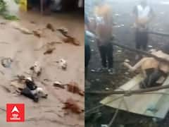 Valsad : เชจเชฆเซเชจเชพ เชงเชธเชฎเชธเชคเชพ เชชเชพเชฃเซเชฎเชพเช เช
เชฌเซเชฒ เชชเชถเซเช เชชเชฃ เชคเชฃเชพเชฏเชพ, เชเซเชฐเชเซเชทเชเซเชจเซ เชเซเชฎ เชฐเซเชธเซเชเซเชฏเซ เชเชฐเชตเชพ เชเชกเซเชชเชเซ, เชเซเช Video