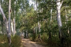 ਮਾਨ ਸਰਕਾਰ ਦਾ ਵੱਡਾ ਫੈਸਲਾ, ਮੱਤੇਵਾੜਾ ਟੈਕਸਟਾਈਲ ਪਾਰਕ ਰੱਦ ਹੋਏਗਾ