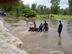 Gadchiroli Rain : गडचिरोली जिल्ह्यात पावसाचा कहर, पुढच्या 72 तासासाठी 'रेड अलर्ट', नागरिकांना सतर्क राहण्याचं आवाहन