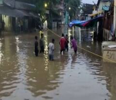 Gujarat Rains: भारी बारिश ने बढ़ाई आफत, अब तक 61 की मौत, स्कूल-कॉलेज बंद, पीएम मोदी ने फोन कर लिया हालात का जायजा-Pics