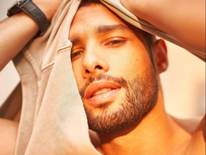 Siddhant Chaturvedi's Increasing Popularity Attracts Top Brands