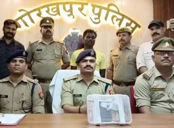 up news Gorakhpur arresed wanted crook who targetted Indo-Nepal businessmen ann Gorakhpur में पुलिस के हत्थे चढ़ा इनामी बदमाश, भारत-नेपाल के व्‍यापारियों को बनाता था शिकार