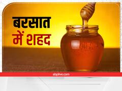 Honey in Monsoon: बरसात में क्या शहद खा सकते हैं? जानें इसके फायदे