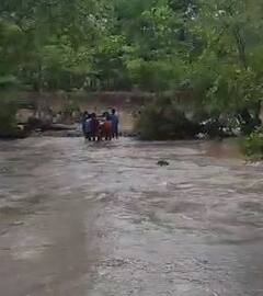 मराठवाड्यासह विदर्भात मुसळधार पाऊस