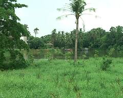 East Kolkata Wetland: পূর্ব কলকাতার জলাভূমি নিয়ে পরিকল্পনা তৈরির প্রস্তাব, কেন্দ্রীয় পরিবেশমন্ত্রীকে চিঠি মেয়রের