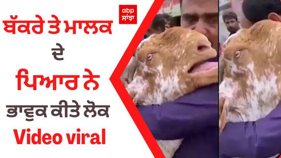 ਬੱਕਰੇ ਤੇ ਮਾਲਕ ਦੇ ਪਿਆਰ ਨੇ ਭਾਵੁਕ ਕੀਤੇ ਲੋਕ, Video viral