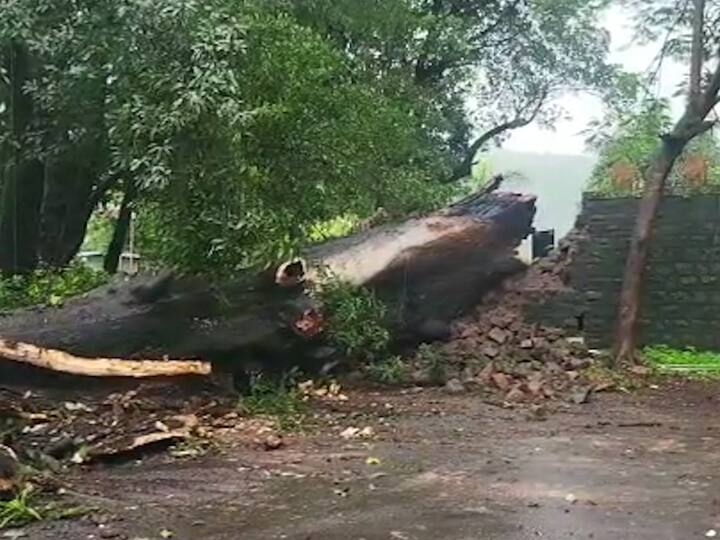 यामुळे, नरवीर तानाजी मालुसरे यांच्या स्मारकाच्या परिसरात असलेली तटबंदी देखील तुटली आहे.
