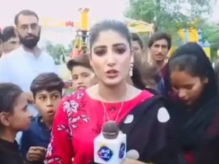 Video Shows Pakistan Journalist Slapping Boy goes viral Journalist Slaps Boy: లైవ్‌లో బాలుడి చెంప పగలగొట్టిన పాకిస్తాన్ జర్నలిస్ట్, వీడియో వైరల్