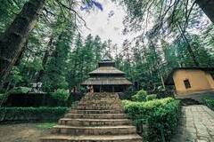 Hidimba Devi Temple History: जहां राक्षस को युद्ध में परास्त कर भीम ने रचाया था विवाह, हिमाचल प्रदेश के इस मंदिर की अनोखी कहानी जानिए