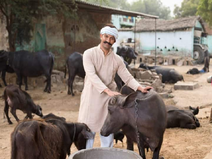 Door to Door Veterinarian Services for Animal Husbandry, 1962 toll free number Nagpur : पशुपालकांसाठी घरपोच पशुरुग्ण सेवा, 1962 या टोल फ्री क्रमांका वर साधा संपर्क