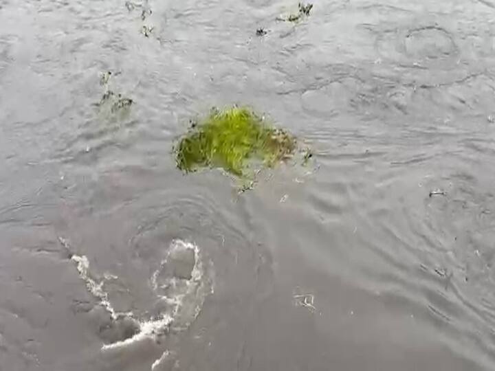गेले तीन दिवस पुण्यात संततधार पाऊस पडल्याने खडकवासला धरण 100 टक्के भरलं. धरणातील पाण्याचा विसर्ग मुठा नदीत सोडण्यात आलं. त्यामुळे दरवर्षीप्रमाणे यंदाही भिडे पूल पाण्याखाली गेला आहे. भिडे पूल पाण्याखाली गेला म्हणजे पुण्यात पाण्याचा प्रश्न मिटला असं समजल्या जातं.