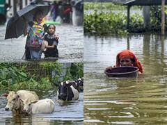 રસ્તાઓ પર તરતા લોકો અને પ્રાણીઓ, પાણીમાં ડૂબી ગયા વાહનો... મહારાષ્ટ્રથી લઈને ગુજરાત સુધી પૂરમાં હાહાકાર, જુઓ તસવીરો