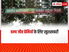Pilibhit News: वन्य जीव प्रेमियों के लिए खुशखबरी, अब पीलीभीत के जंगल से बाहर नहीं जाएंगे वन्य जीव, ये है वजह