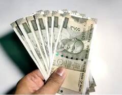 Business Idea: ਘਰ ਦੀ ਛੱਤ 'ਤੇ ਸ਼ੁਰੂ ਕਰੋ ਇਹ ਖਾਸ ਬਿਜ਼ਨੈੱਸ! ਹਰ ਮਹੀਨੇ ਹੋਵੇਗੀ ਐਕਸਟਰਾ ਇਨਕਮ