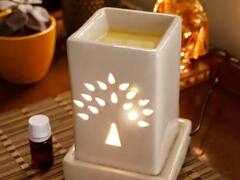 Oil Diffuser : ਤਣਾਅ ਮੁਕਤ ਰਹਿਣ ਦਾ ਸਭ ਤੋਂ ਸਸਤਾ ਤਰੀਕਾ, ਜ਼ਰੂਰ ਖ਼ਰੀਦੋ ਇਹ ਆਇਲ ਡਿਫਿਊਜ਼ਰ