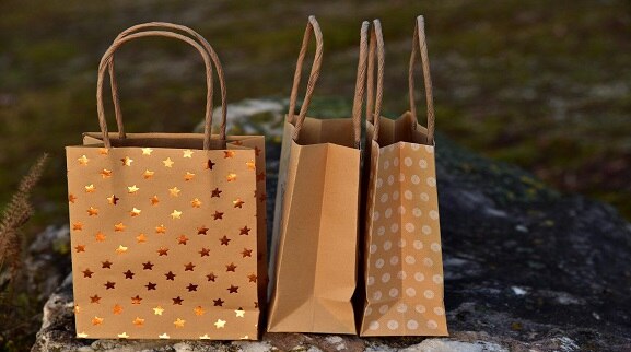 World Paper Bag Day 2022 : আজ ওয়ার্ল্ড পেপার ব্যাগ ডে, কেন পালিত হয় দিনটি ?