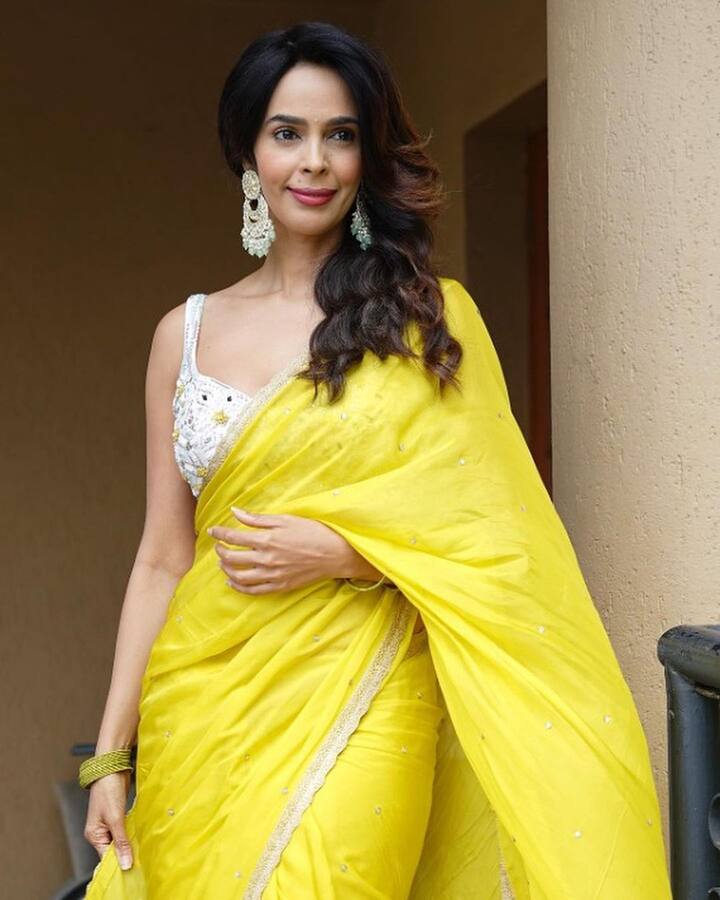 મલ્લિકાએ સાડી લૂકમાં હોટ પોઝ આપ્યા છે. અલગ-અલગ અંદાજમાં પોઝ આપતી જોવા મળે છે.