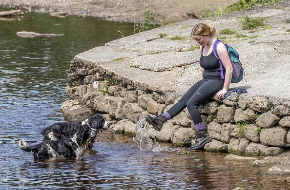 A woman enjoys the hot weather on the River Wharfe near Bolton Abbey in North Yorkshire, as the UK is set to be hotter than Los Angeles on Friday as temperatures push towards 30C ahead of a predicted heatwave. Image Source Getty Images