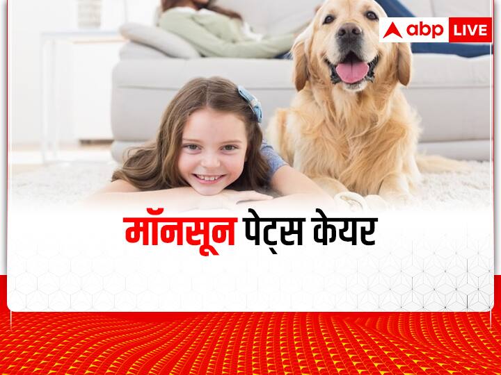 pet care in monsoon protect your pet from monsoon disease and snails Pet Care: स्नेल आपके पेट्स को बना सकती है बहुत बीमार, मानसून में पालतू जानवरों का ऐसे रखें खयाल