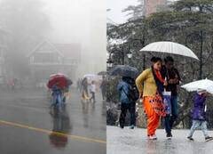 Rain In Shimla: सुहावने मौसम का मजा लेने शिमला पहुंचे लोग, पर्यटकों की भीड़ से गुलजार हुई ‘क्वीन्स ऑफ हील्स’, देखे तस्वीरें