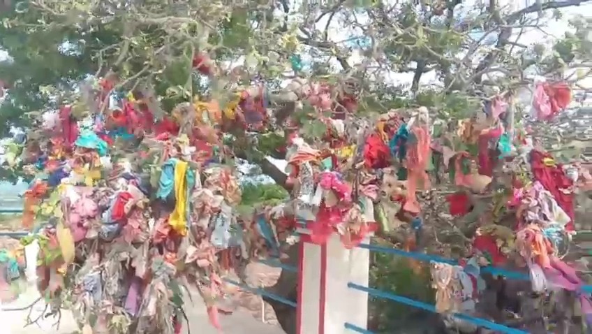 Nellore Narasimha Swamy Temple : ఆ ఆలయంలో చీర కొంగు చించి ముడుపు కడితే సంతానయోగ్యం!