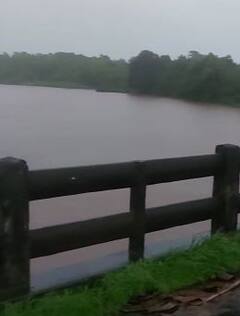 राज्यात मुसळधार पाऊस, अनेक ठिकाणी पूरस्थिती