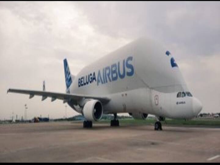 Biggest plane that arrived at Chennai airport  Beluga elegant whale is here and with such awesomeness Chennai Airport : சென்னை விமான நிலையத்திற்கு வந்த மிகப்பெரிய விமானம்.. பின்னணியில் பல ஆச்சரியத் தகவல்கள்...