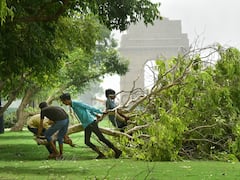 Delhi News: दिल्ली में बारिश के बाद कई इलाकों में जलभराव और पेड़ गिरने की शिकायतें, MCD ने जारी किए हेल्पलाइन नंबर
