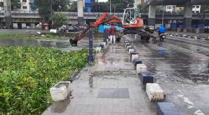 खडकवासला धरणातून मोठ्या प्रमाणात पाण्याचा विसर्ग सोडण्यात आल्यामुळे मुठा नदी पात्रात मोठ्या प्रमाणात जलपर्णी देखील वाहून आलेली आहे.