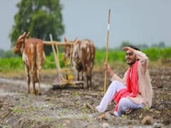 Rain Based Agro Advisory: अगले 5 दिन तक धुआंधार बारिश का अनुमान, खेतों में जल्द शुरू कर दें ये काम